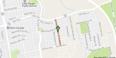 வரைபடம் Black creek drive Toronto
