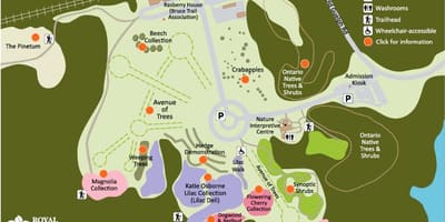 வரைபடம் RBG Arboretum