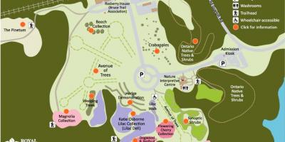 வரைபடம் RBG Arboretum